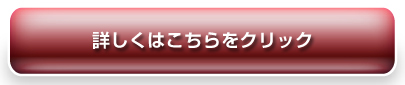 T[iэ܂̏ڍׂ͂